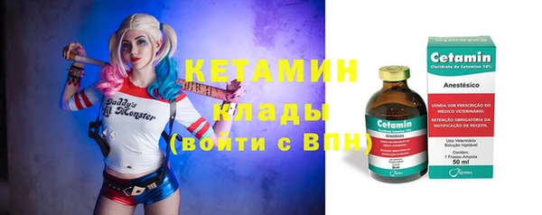 трава Аркадак