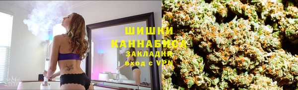 трава Аркадак