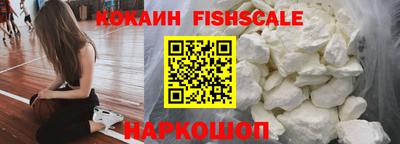 тгк Кингисепп