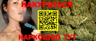 тгк Кингисепп