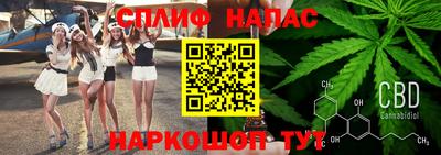 тгк Кингисепп