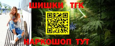 тгк Кингисепп