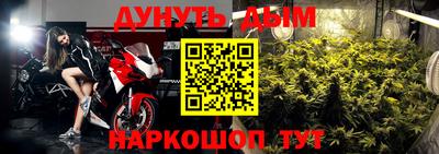 тгк Кингисепп