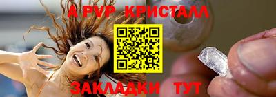 тгк Кингисепп