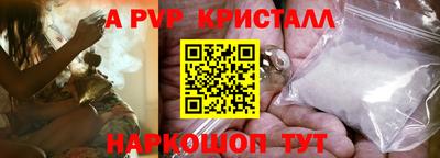 тгк Кингисепп