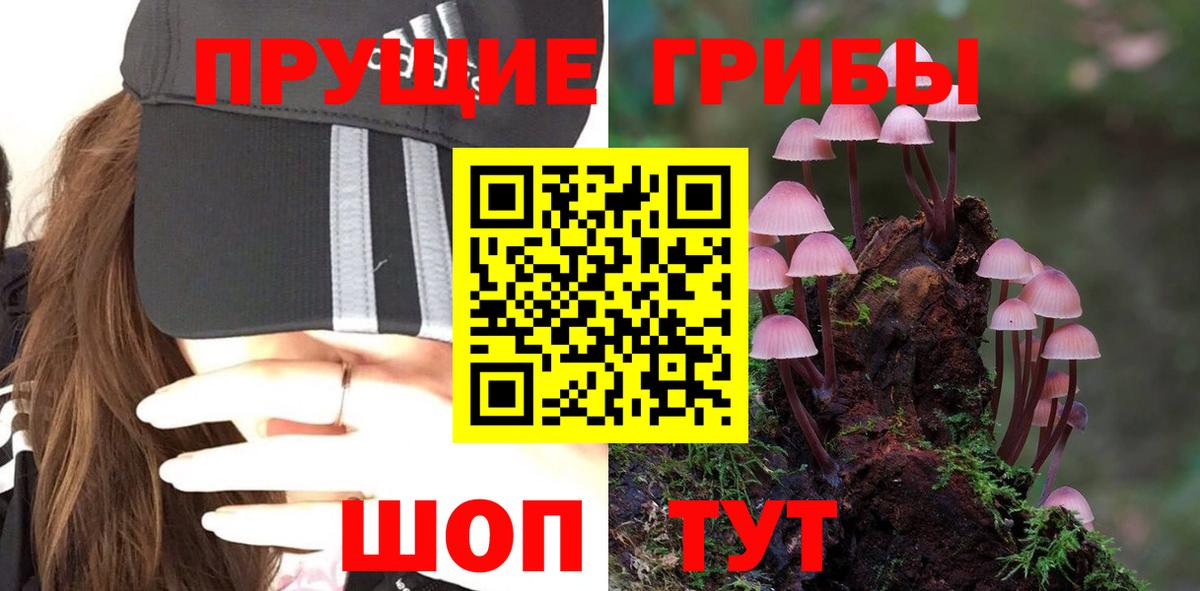 Псилоцибиновые грибы MAGIC MUSHROOMS Фролово